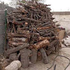 Odun