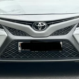 Camry pamper
