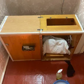 Tikin maşyn