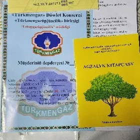 zamost daça