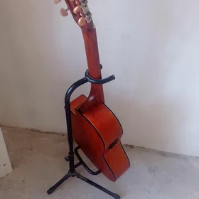 Cort arginal gitara