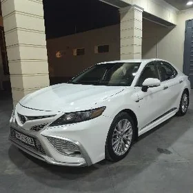 Toyota Camry 2020