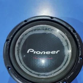 pioneer bocka