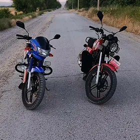 Fekon FK200-14G 2026