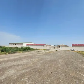 Yashlyk Onümcilik 90gektar