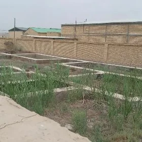 Дача