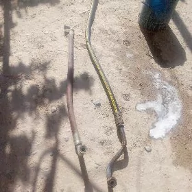 yslanga