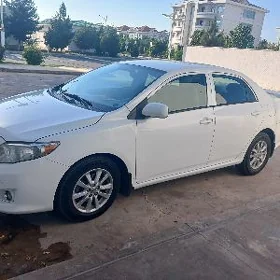 Toyota Corolla 2010
