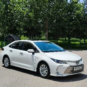 Toyota Corolla 2025