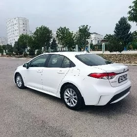 Toyota Corolla 2019