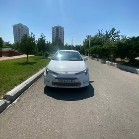 Toyota Corolla 2025