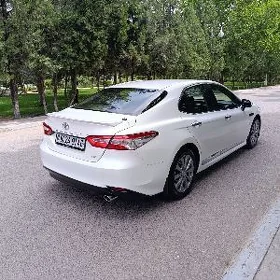 Toyota Camry 2019