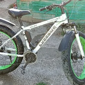 tokly tigir