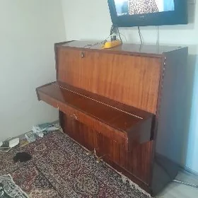 Pianino "TOKKATA"