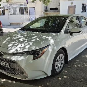Toyota Corolla 2020