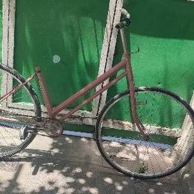 tigir gyssagly yaposga welik