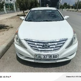 Hyundai Sonata 2010