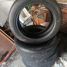 Pakryshga Hayylandyr  235/55R20 102H