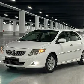 Toyota Corolla 2008