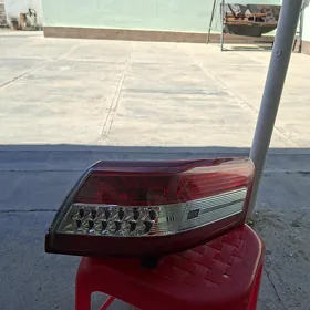 Okuz kelle yzky çyra morda sag