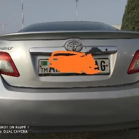 FARA YZKY ÖKÜZ KELLE