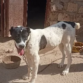 it