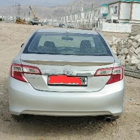 palta stopnik. 2012/2014