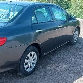 Toyota Corolla 2010