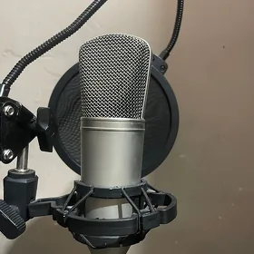 B1
