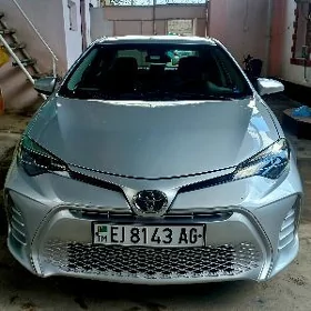 Toyota Corolla 2019