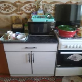 şatlyk kw