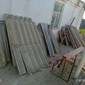 Jaydan sökilen şypr we agaclar
