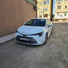 Toyota Corolla 2023