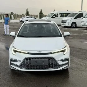 Toyota Corolla 2026
