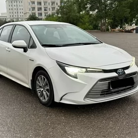 Toyota Corolla 2023