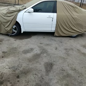 tent üst ỳpynja