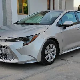 Toyota Corolla 2020