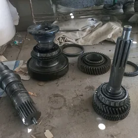 zf karowpga