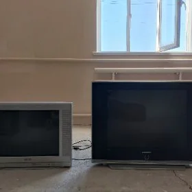 televizer