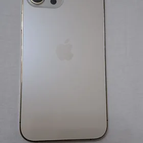 iPhone12 pro max