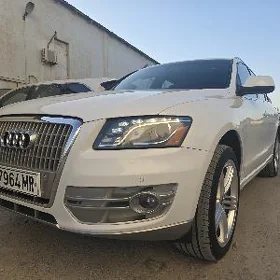 Audi Q5 2010