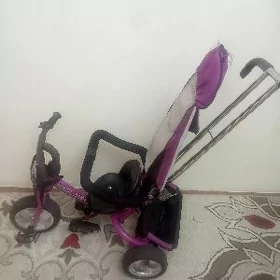 Çaga Tigir