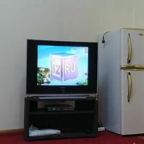 Televizor