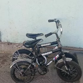 Tigir 12 lik