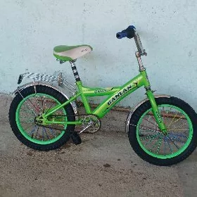 Tigir 16 lyk