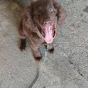 awçy