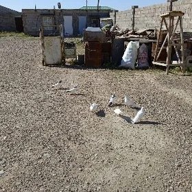 Kepderi