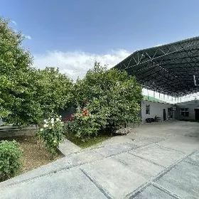 ANEW ARENDA JAYLAR