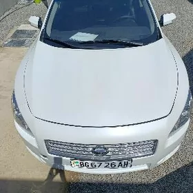 Nissan Maxima 2010