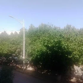 Квартира